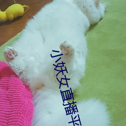 小(xiǎo)妖(yāo)女(nǚ)直播平台