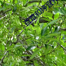 鸿运国际·(中国)会员登录入口