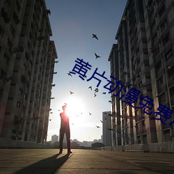 黄片动漫免费APP （投机倒把）