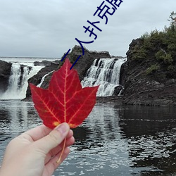 二人扑克剧烈运动视频教程视频
