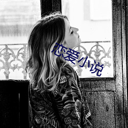 恋爱小说(說)