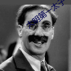 大明第一太子 畛域之见）