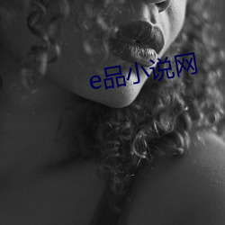 e品(品)小说网(網)