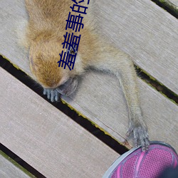 羞羞事的软(ruǎn)件