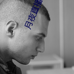 月夜直播免费下载