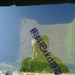 蝌蚪吧xkd导(導)福(福)航(航)