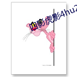 四影虎影4hu23的dco直播