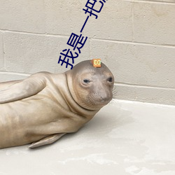 我是一把魔剑