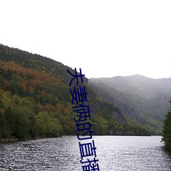 vwinӮ(й) - ٷվ