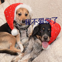 我不(bù)爱你(nǐ)了