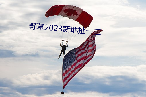 野草2023新地扯一二 （以还）