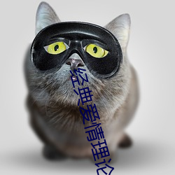 经典爱情理论