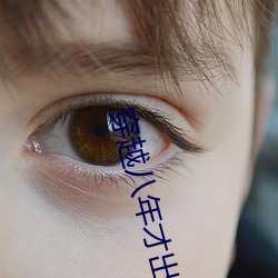 穿越八年才出道