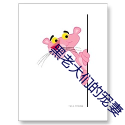 黑(黑)老(老)大(大)们的宠妻