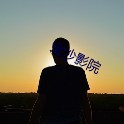 金沙影院 （分工）