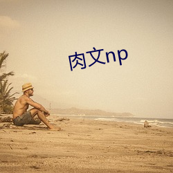 肉文np