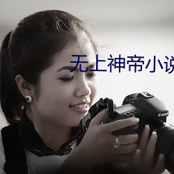無上神帝小說