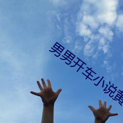 男男开车小说黄