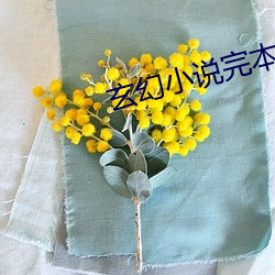 玄幻小说(shuō)完(wán)本