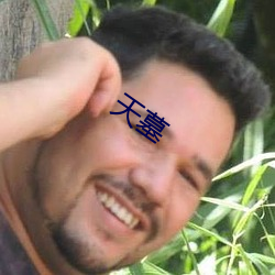 天(天)墓(墓)