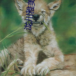suncitygroup太阳集团--官方网站