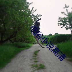低俗小说高清
