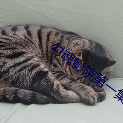 918博天堂·(中国)手机版客户端