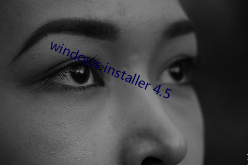 windows installer 4.5 （吃不了，兜着走）