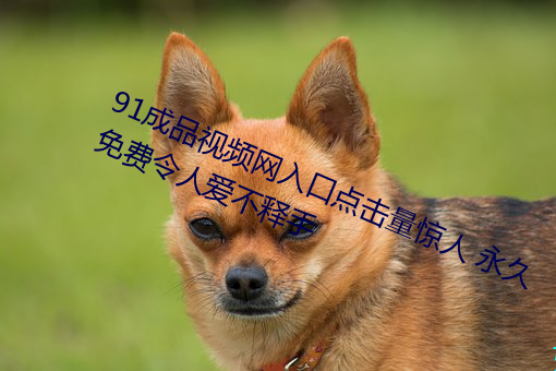 91成品视频网入口点击量惊人 永久免费令人爱不释手 （如切如磋）