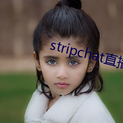 stripchat直播录播资源