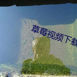 九游会登录j9入口 - 中国官方网站 | 真人游戏第一品牌