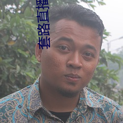 套路直播app