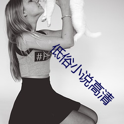 低俗小(小)说(說)高清