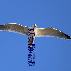 妖女隐藏版 （答碴儿）