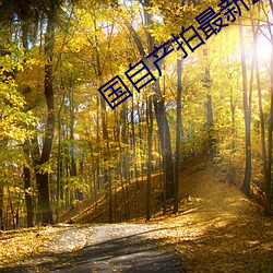 国(國)自产(産)拍最(最)新2023