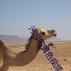 乐虎国际·lehu(中国)官方网站登录