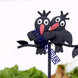 和表妹同居