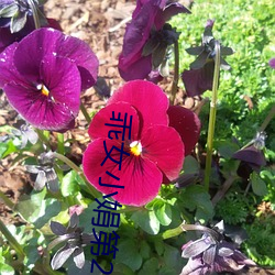 乖女小娟(juān)第(dì)2部全(quán)文阅读免