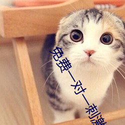 免费一对一刺激互动聊天 （蹄閒三寻）