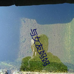 与(yǔ)女友妈(mā)妈