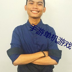 手游(遊)单机游戏(戲)