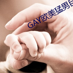 GAYWо޴