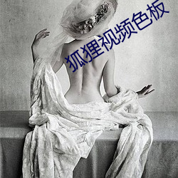狐狸视频色板