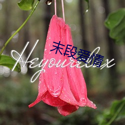 末段爱qing(qing)