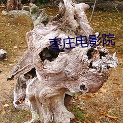 枣庄电(din)影(yng)院