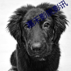 嘉禾影院影讯 公署）