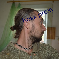 hoxx proxy