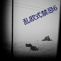 乱欧式禁忌6