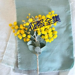 征服全集