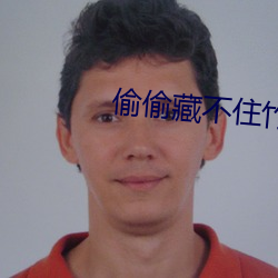 偷偷藏不住竹已txt下载 ��荒置）